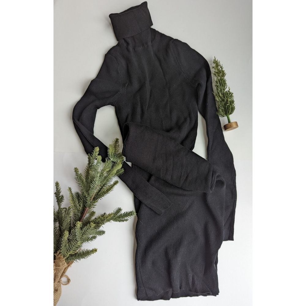 Black Knee Length Bodycon Turtleneck Dress